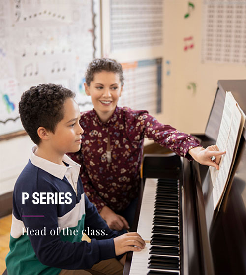 p series icon