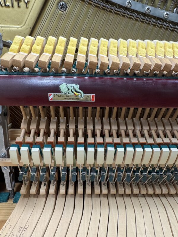 Charles R. Walter Upright Piano #503426 - Image 6