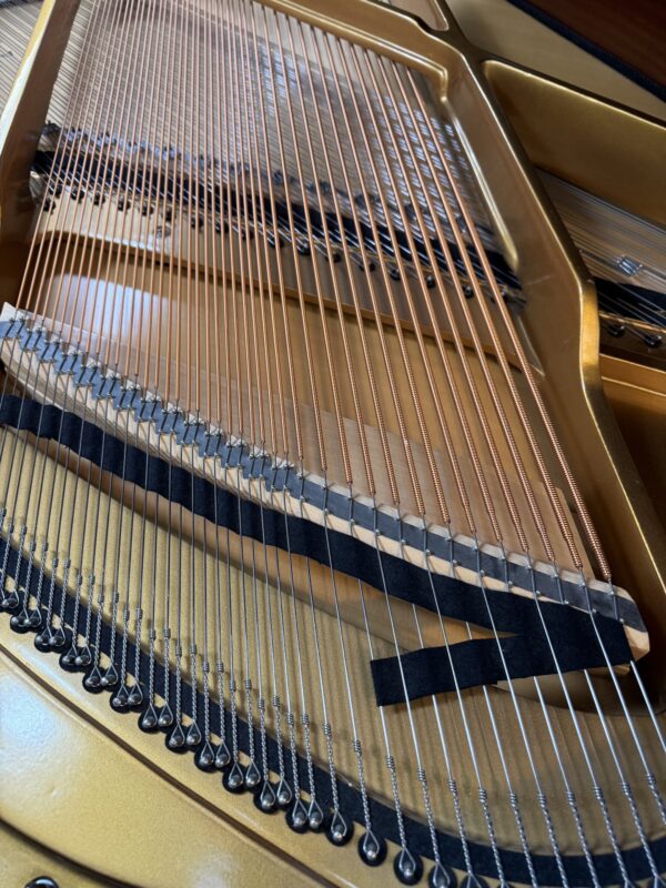 Perzina Grand Piano #0304473 - Image 11