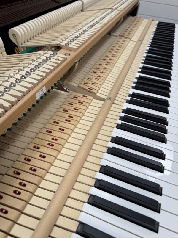 Perzina Grand Piano #0304473 - Image 9