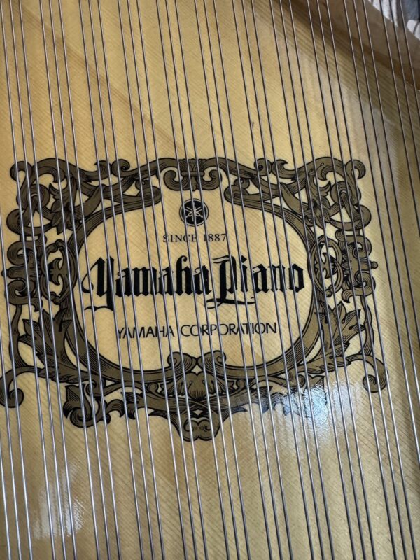 Yamaha Grand Piano GB1K - #33889406 - Image 8
