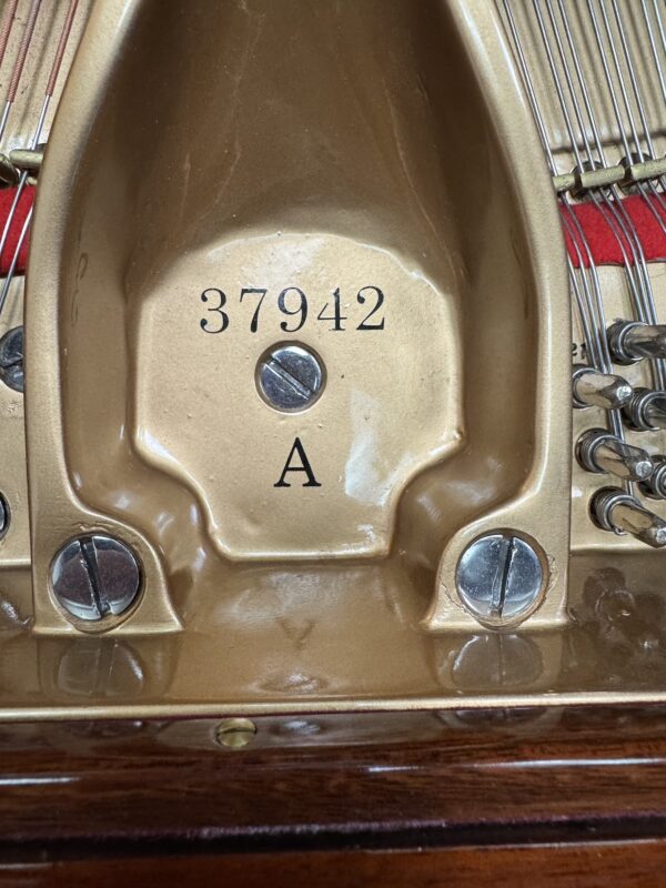 Mason & Hamlin Grand Piano - Image 9