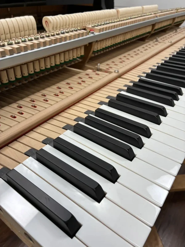 Essex Grand Piano - Image 7